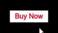 Rectangular Buy Now Button Animation, Red and White